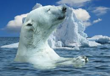 Ledovce tají i pod mořskou hladinou. A stokrát rychleji, než vědci mysleli