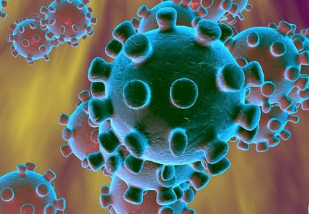 Rachel Sharp: Dr. Faust z Harvardu říká, že koronavirus není tak smrtelný, jak se svět obává